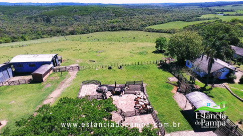 VAI ATE MANGUEIRA OVELHAS.00_00_46_02.Quadro012_931bd78af755fc923b04e2b09c89f45c7829f987.jpg